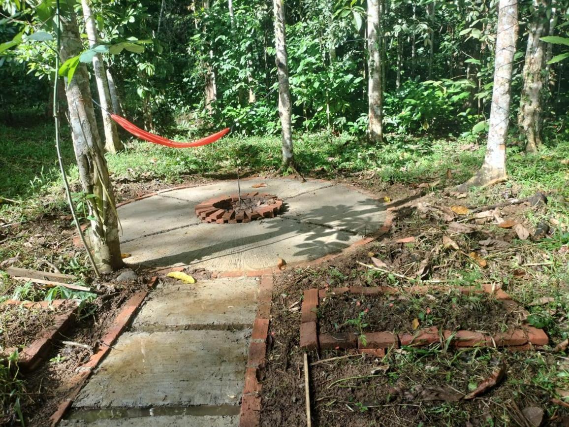 Sugi House Toraja - Penginapan Villa Harian Keluarga -Muat 20 Orang Rantepao Extérieur photo